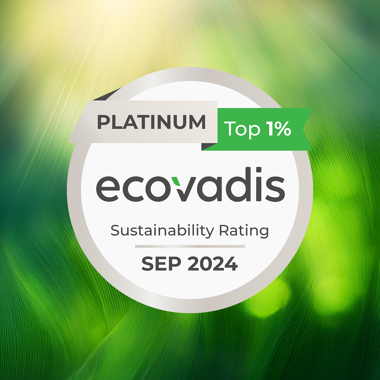 Platinum award by EcoVadis in sustainability